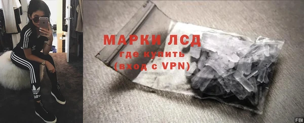 ECSTASY Алзамай