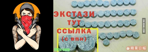 ECSTASY Алзамай