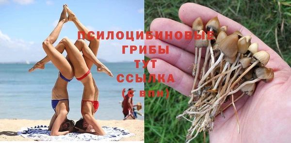 ALPHA-PVP Алексин