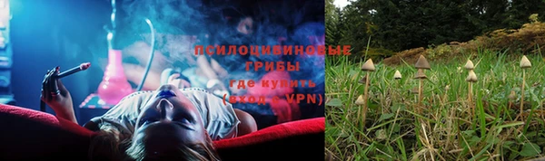 ALPHA-PVP Алексин
