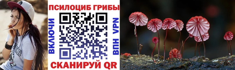 Псилоцибиновые грибы Psilocybe  Калининск 